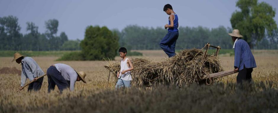LE TEMPS DES MOISSONS