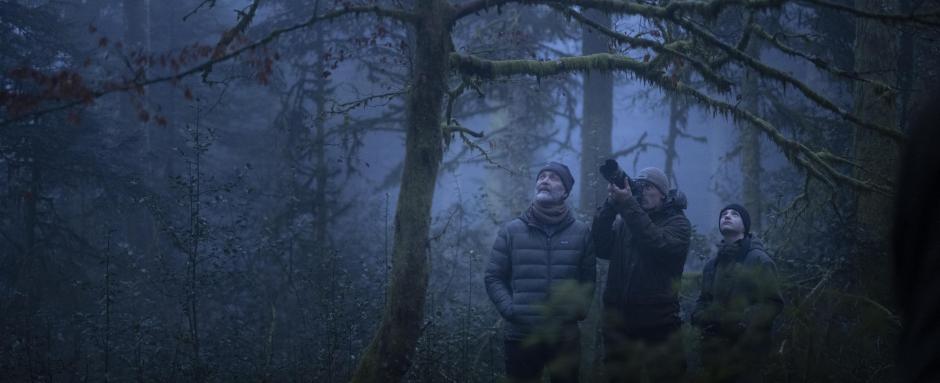 LE CHANT DES FORÊTS