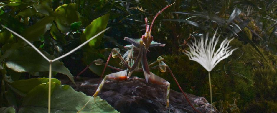 #htmlcaption-0 PLANÈTES